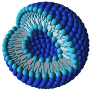 fabrication liposome