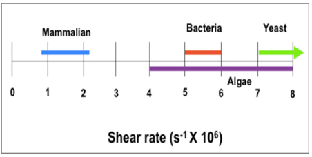 filtration homogeneisateur