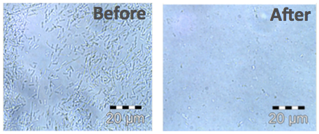 homogénéisateur haute pression broyage cellulaire